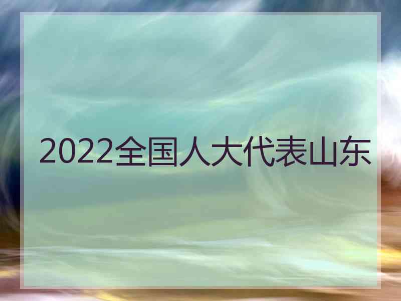 2022全国人大代表山东