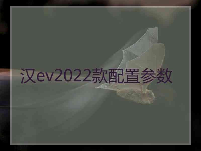 汉ev2022款配置参数