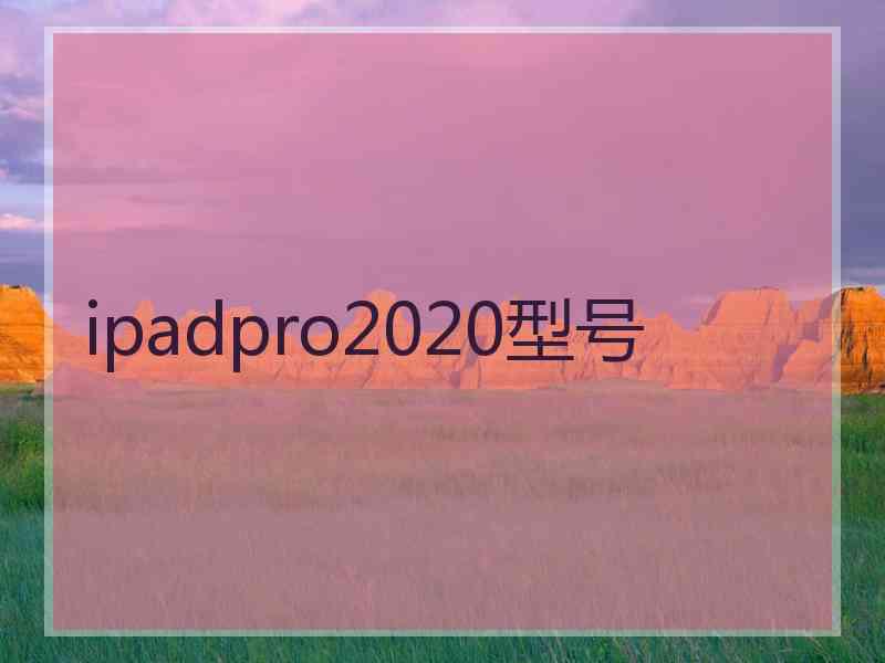 ipadpro2020型号