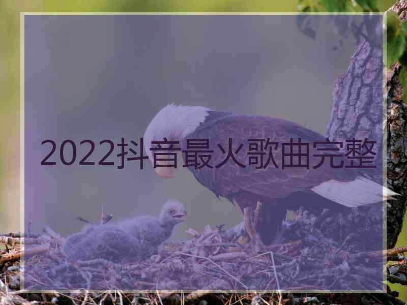 2022抖音最火歌曲完整