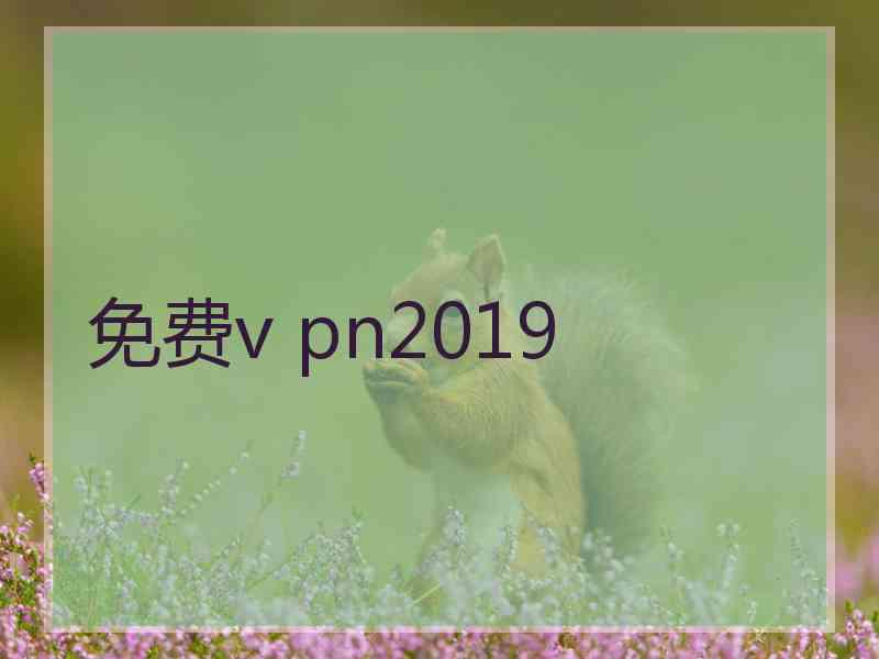 免费v pn2019