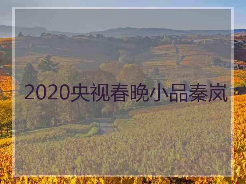 2020央视春晚小品秦岚