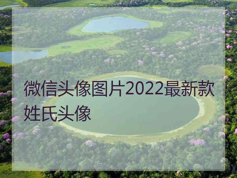 微信头像图片2022最新款姓氏头像