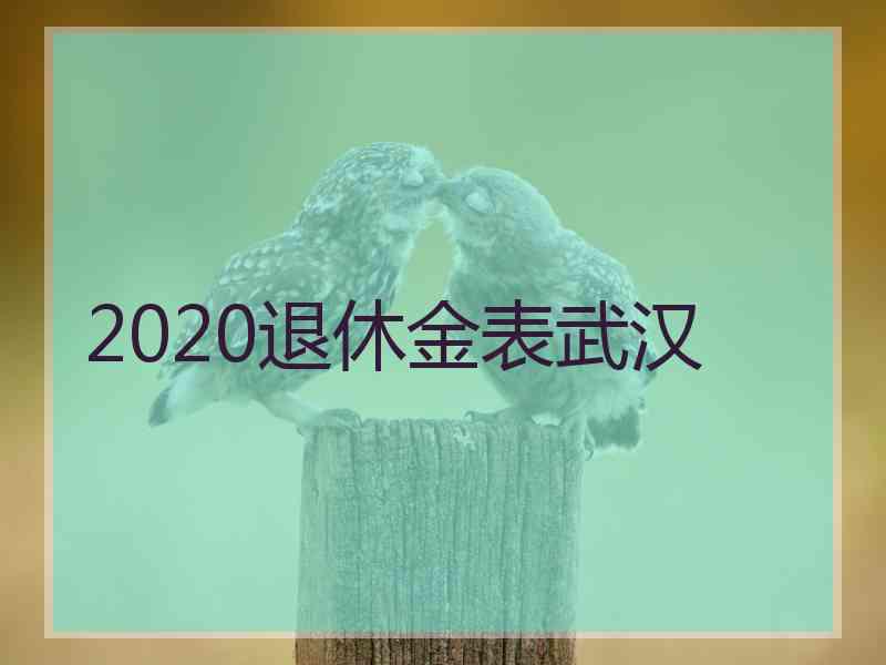 2020退休金表武汉