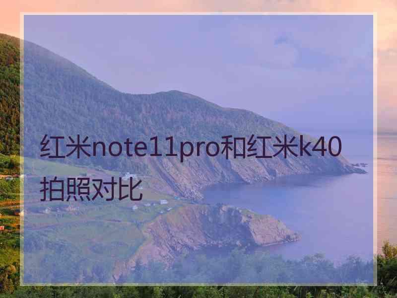 红米note11pro和红米k40拍照对比