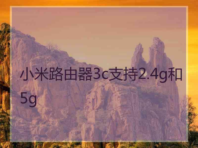 小米路由器3c支持2.4g和5g