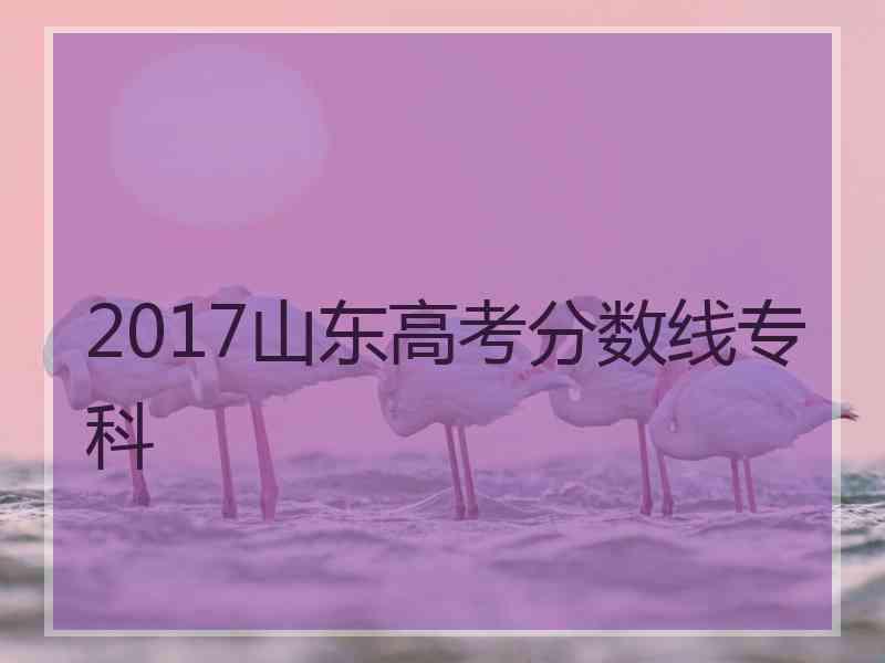 2017山东高考分数线专科