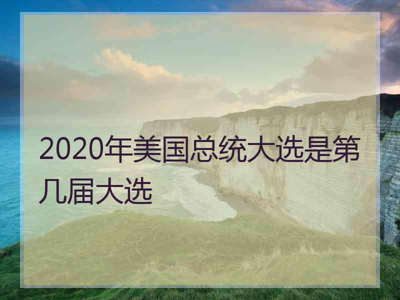 2020年美国总统大选是第几届大选