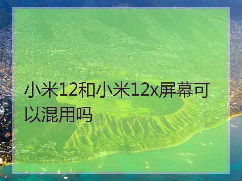 小米12和小米12x屏幕可以混用吗