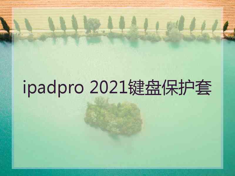 ipadpro 2021键盘保护套