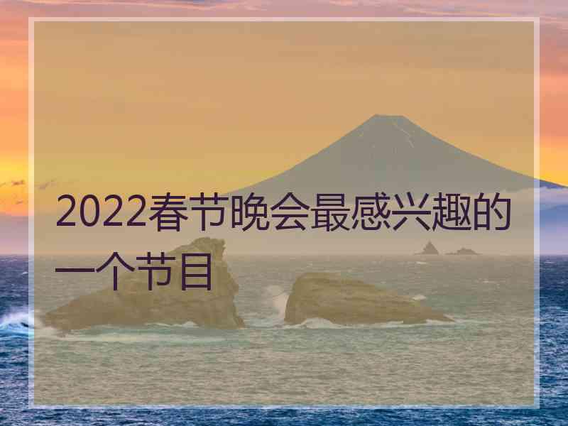 2022春节晚会最感兴趣的一个节目