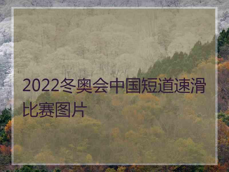 2022冬奥会中国短道速滑比赛图片