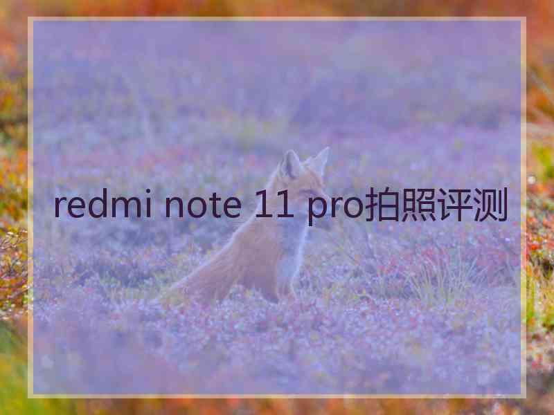 redmi note 11 pro拍照评测