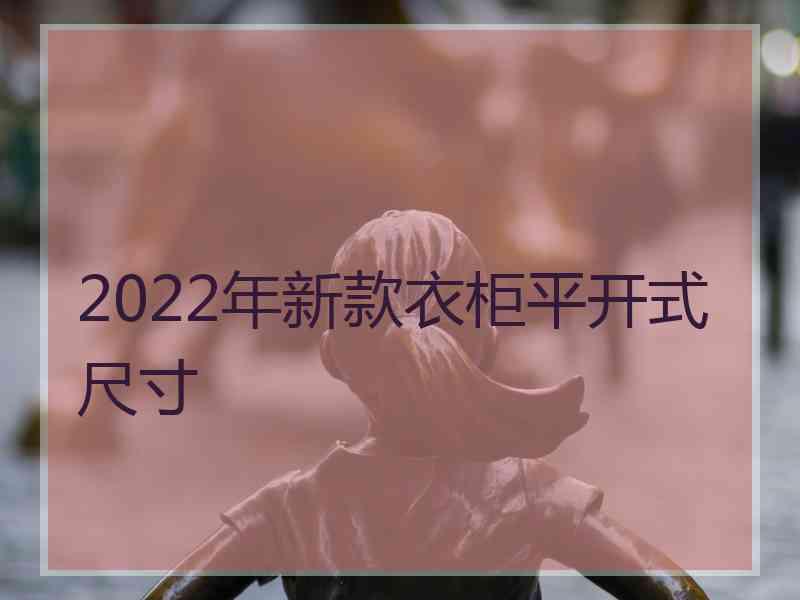 2022年新款衣柜平开式尺寸