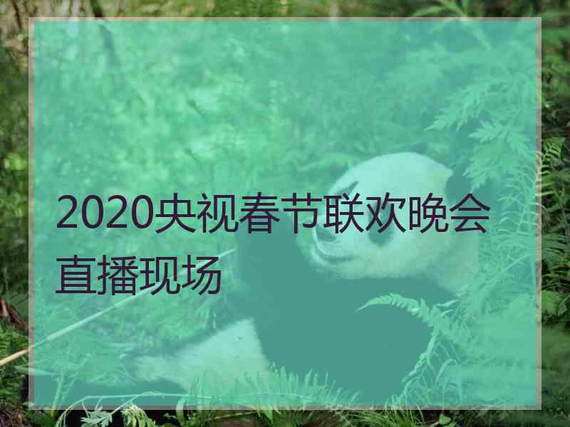 2020央视春节联欢晚会直播现场