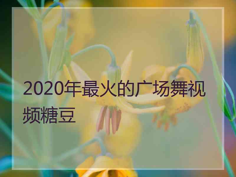 2020年最火的广场舞视频糖豆