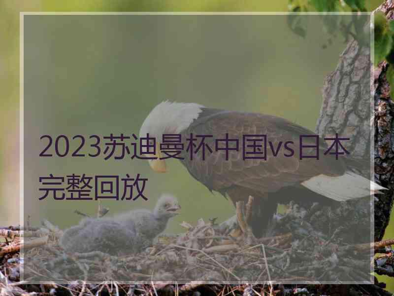 2023苏迪曼杯中国vs日本完整回放