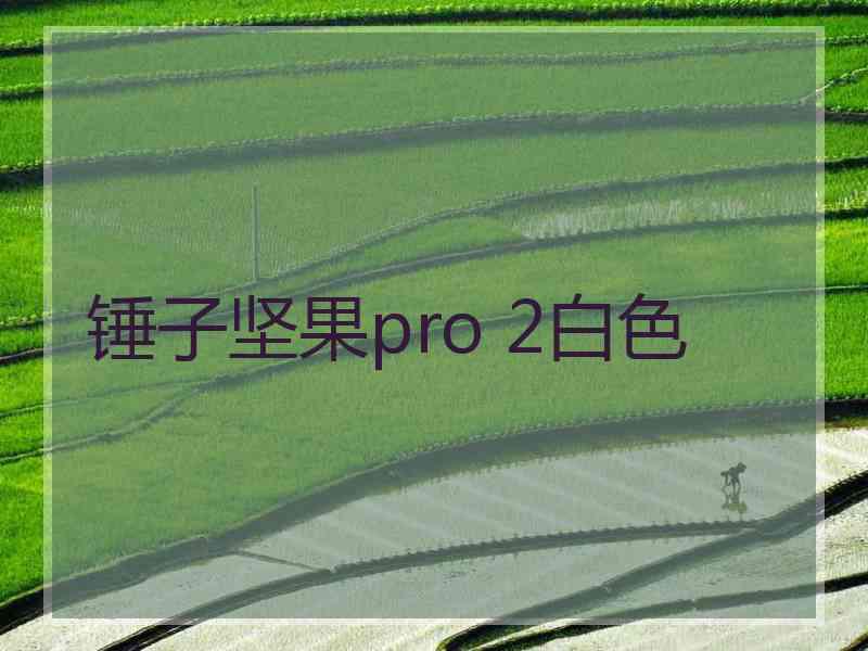 锤子坚果pro 2白色