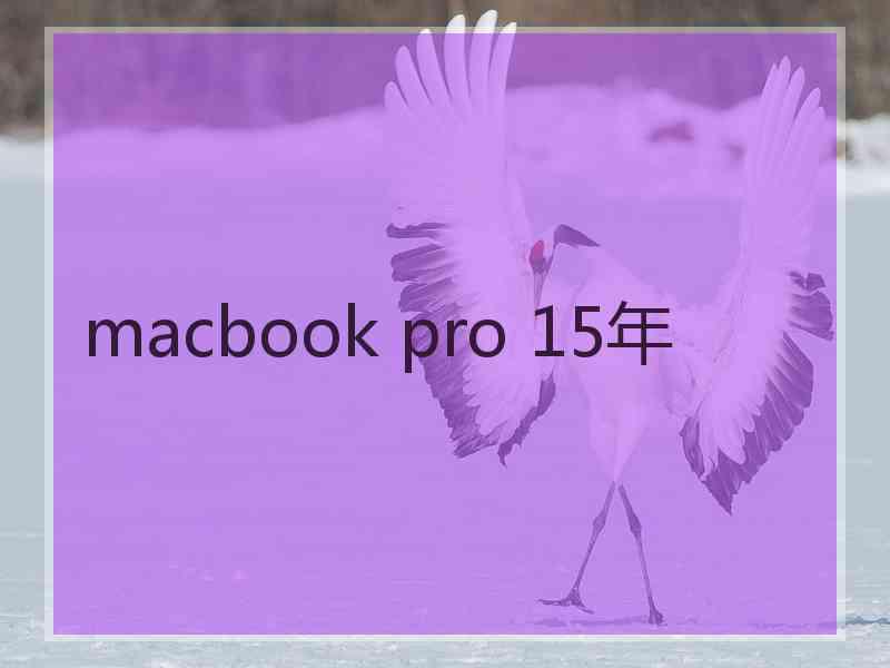 macbook pro 15年