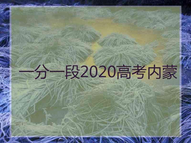 一分一段2020高考内蒙