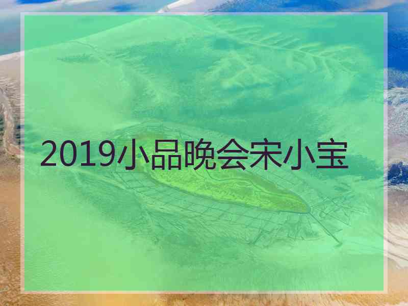 2019小品晚会宋小宝