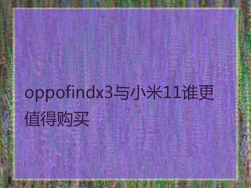 oppofindx3与小米11谁更值得购买