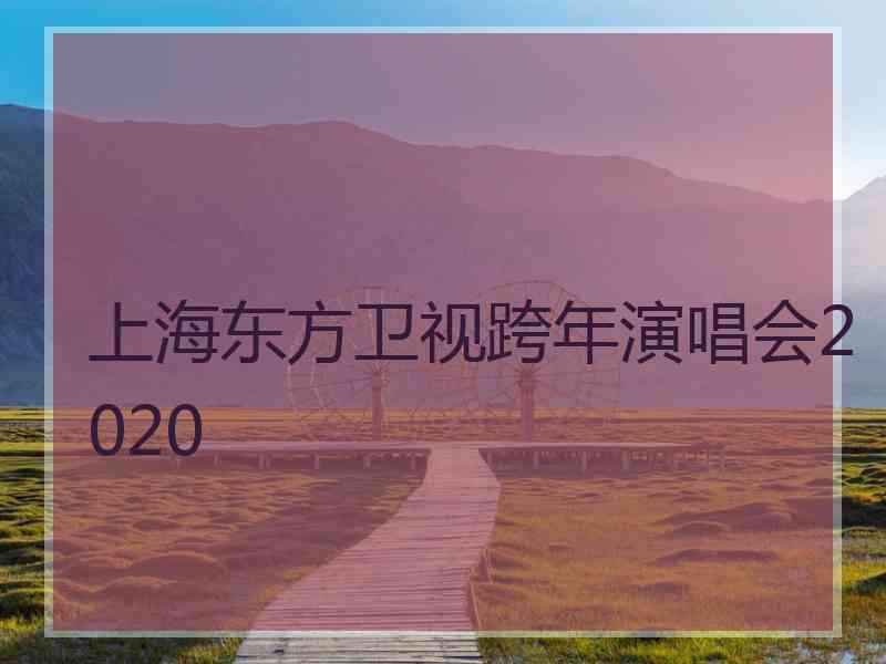 上海东方卫视跨年演唱会2020