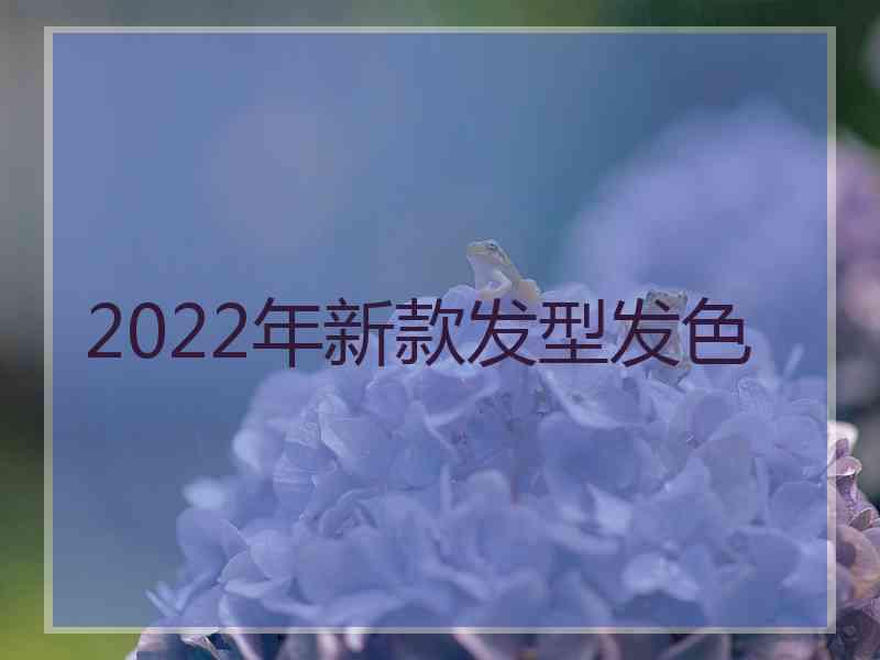 2022年新款发型发色