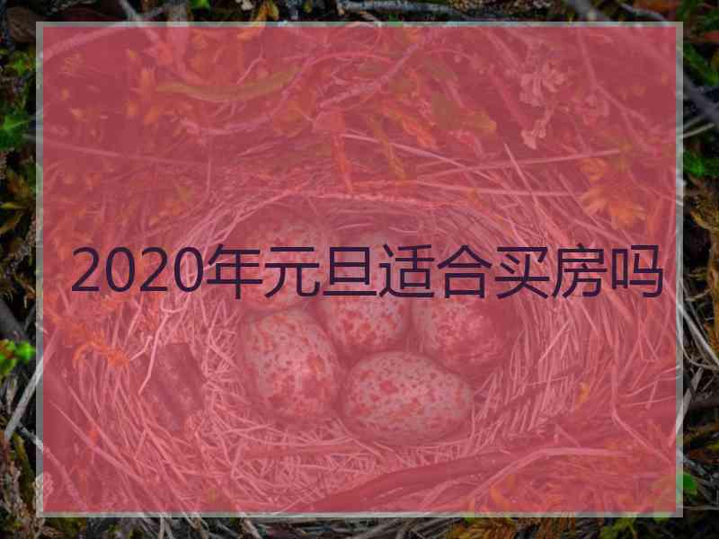 2020年元旦适合买房吗