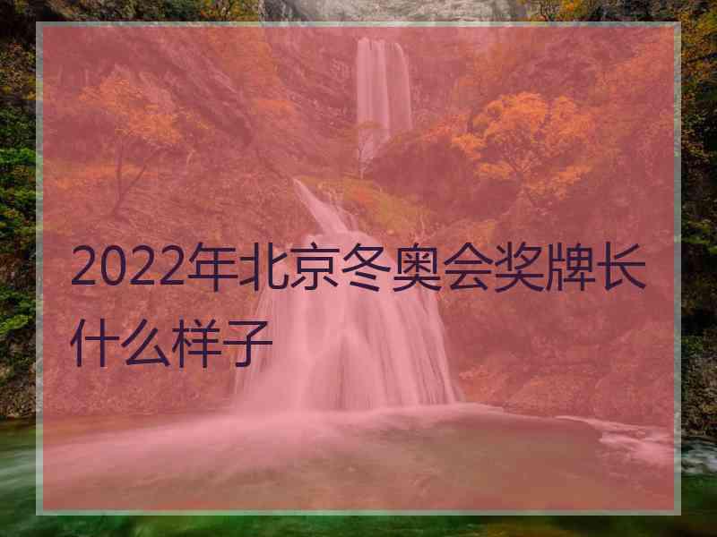 2022年北京冬奥会奖牌长什么样子