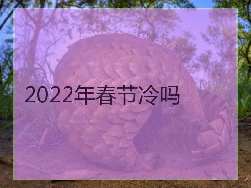 2022年春节冷吗