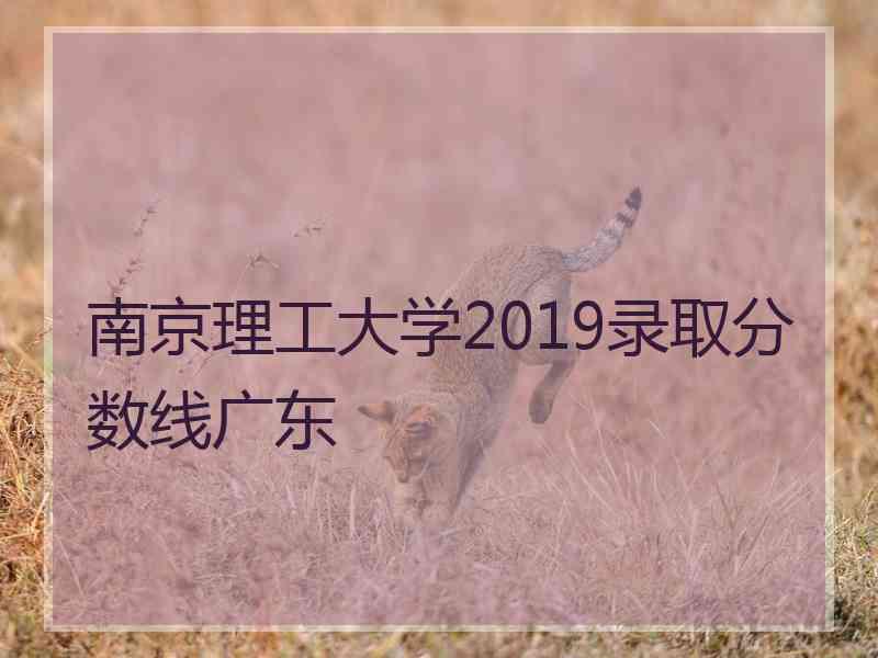 南京理工大学2019录取分数线广东