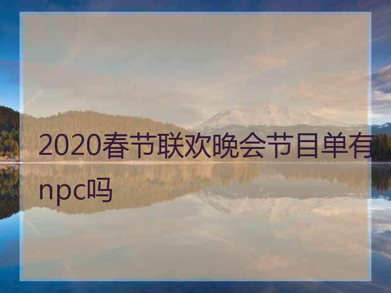 2020春节联欢晚会节目单有npc吗