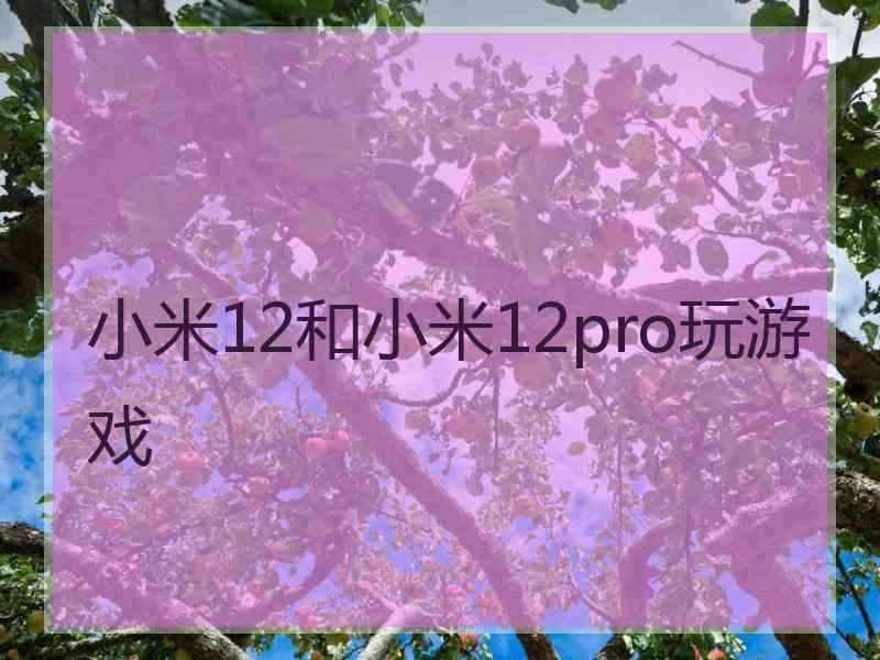 小米12和小米12pro玩游戏