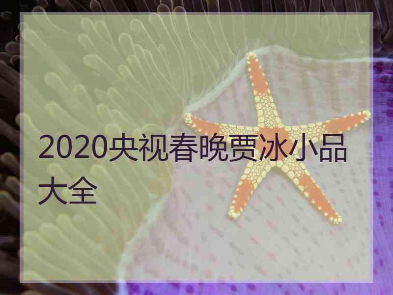 2020央视春晚贾冰小品大全