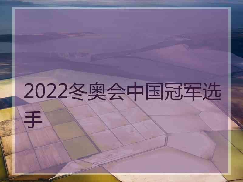 2022冬奥会中国冠军选手