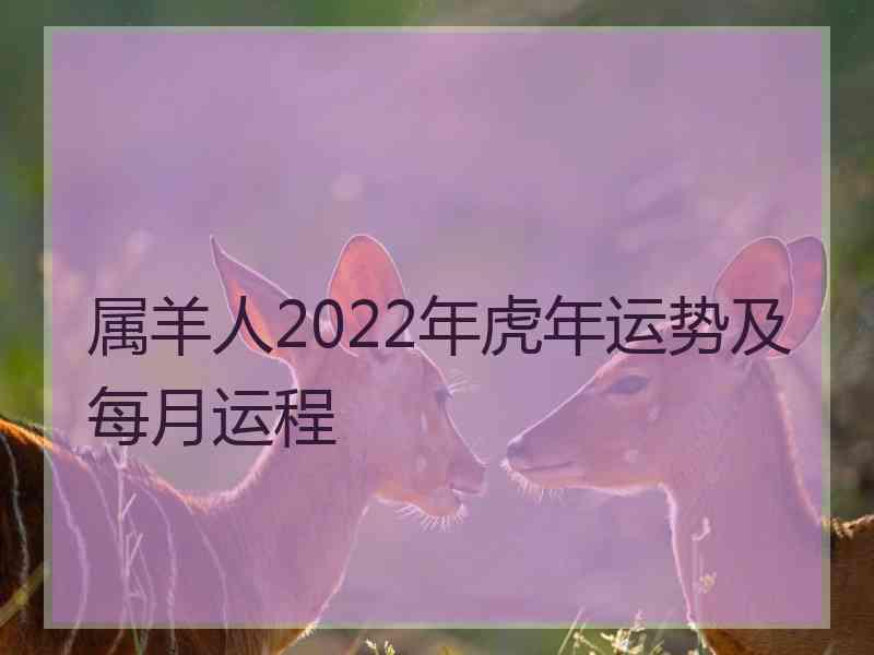 属羊人2022年虎年运势及每月运程