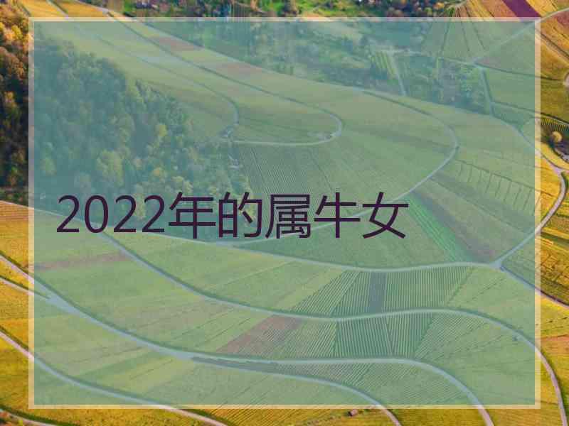 2022年的属牛女