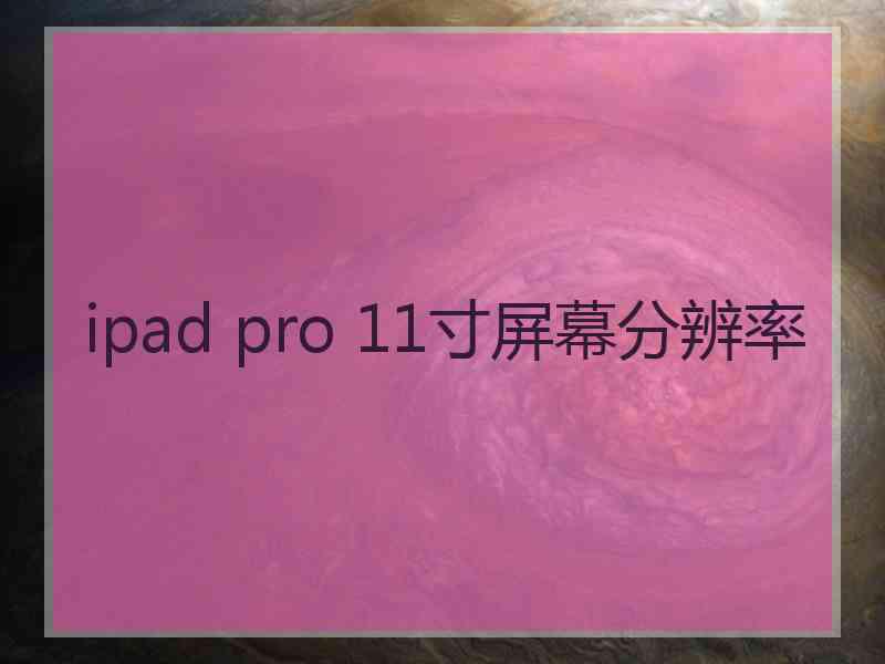 ipad pro 11寸屏幕分辨率