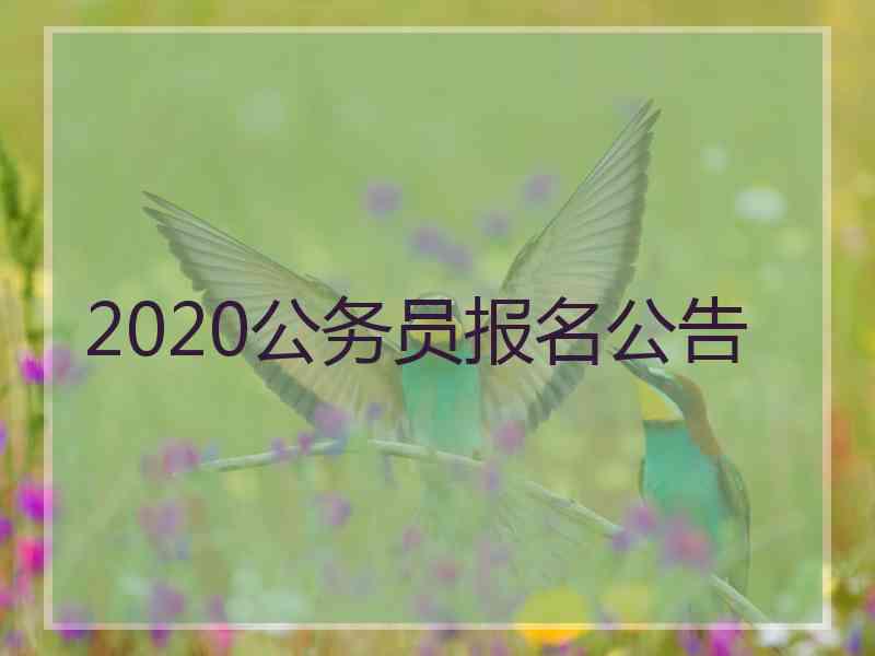 2020公务员报名公告