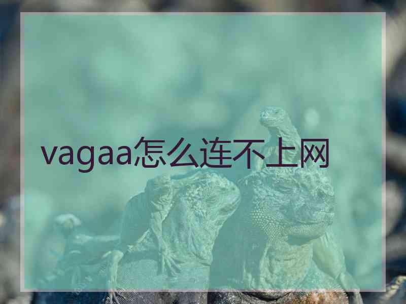 vagaa怎么连不上网