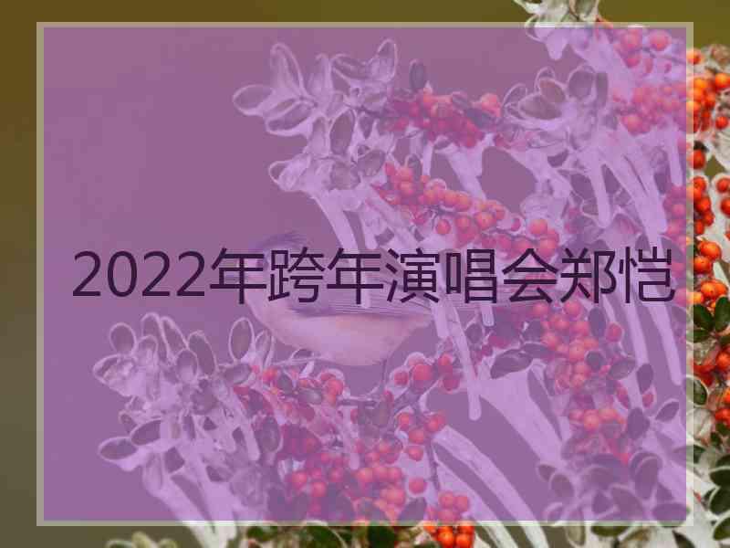 2022年跨年演唱会郑恺