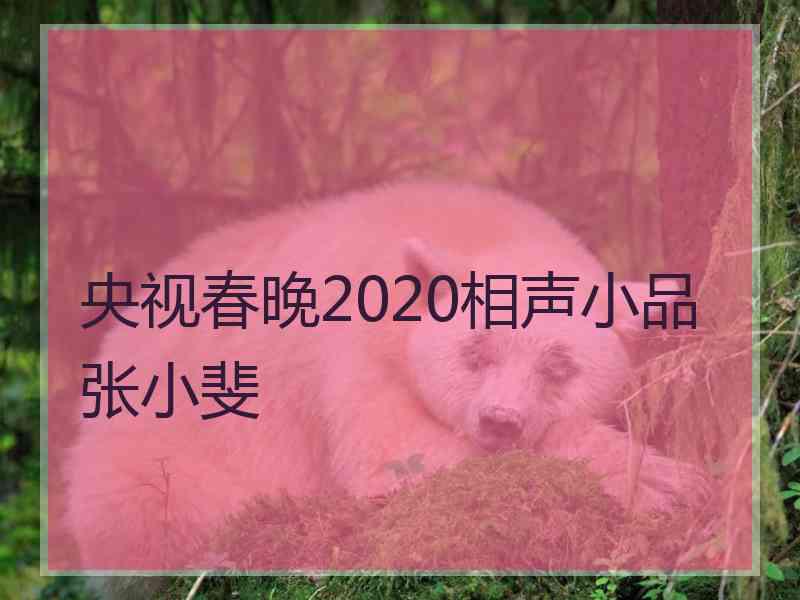 央视春晚2020相声小品张小斐