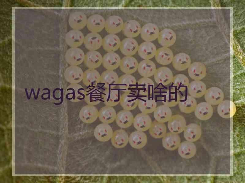 wagas餐厅卖啥的