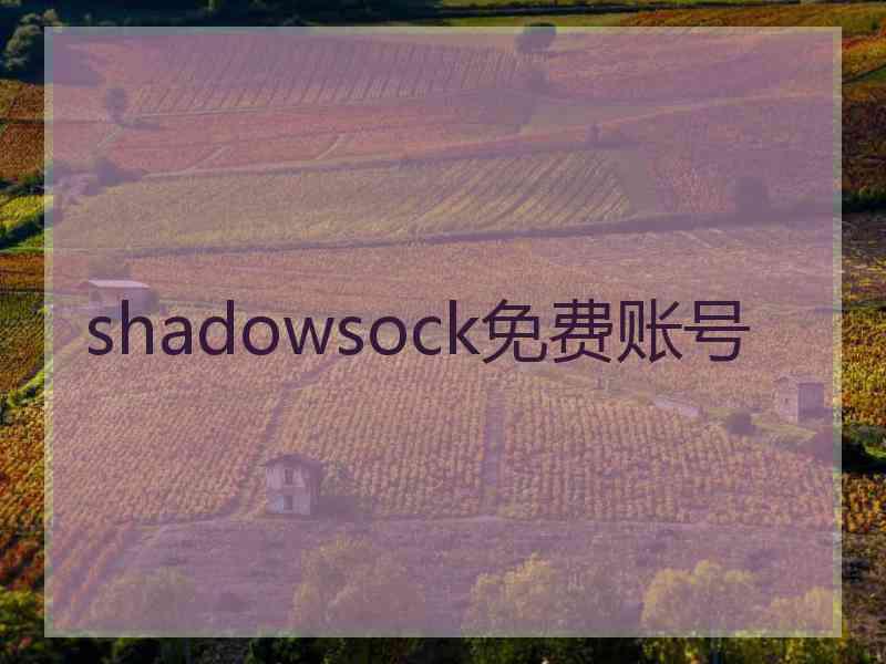 shadowsock免费账号