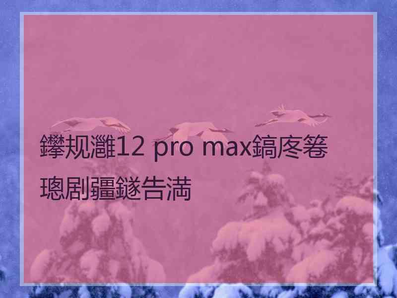 鑻规灉12 pro max鎬庝箞璁剧疆鐩告満