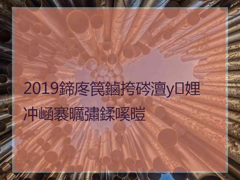 2019鍗庝笢鏀挎硶澶у娌冲崡褰曞彇鍒嗘暟