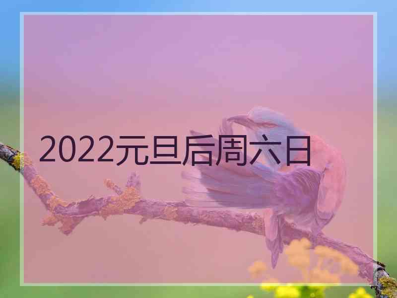 2022元旦后周六日