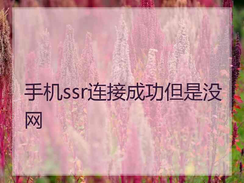 手机ssr连接成功但是没网