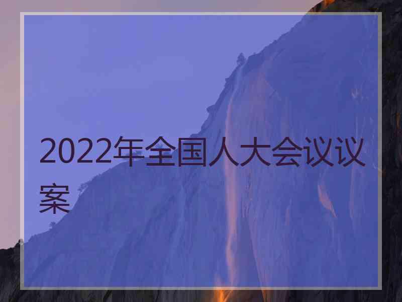 2022年全国人大会议议案